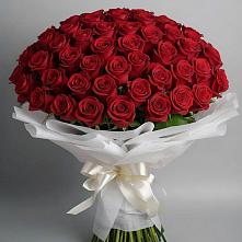 Букет 101 Красная роза Блэк Мэджик в Дмитриевка Уфимский район