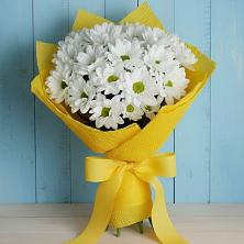 Букет цветов из:  Хризантемы в Дмитриевка Уфимский район