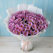 Букет цветов из:  Хризантемы в Дмитриевка Уфимский район
