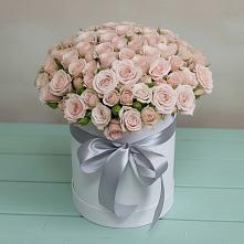 Цветочная композиция из Розы в шляпной коробке #REPLACE_PRED# Дмитриевка Уфимский район