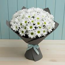 Букет цветов из:  Хризантемы в Дмитриевка Уфимский район