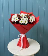 Букет цветов из:  Хризантемы в Дмитриевка Уфимский район