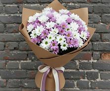 Букет цветов из:  Хризантемы в Дмитриевка Уфимский район