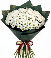 Букет цветов из:  Хризантемы в Дмитриевка Уфимский район