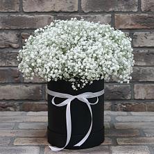 Цветочная композиция из Гипсофила в шляпной коробке в Дмитриевка Уфимский район