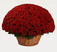 Премиум букет из: Розы в Дмитриевка Уфимский район
